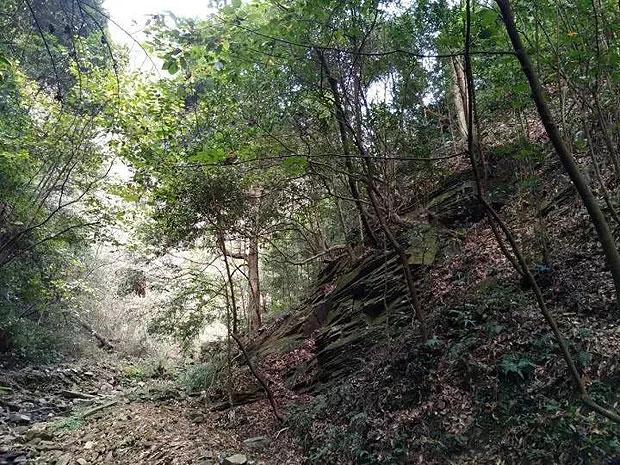 湘江战役：34师陷入绝境被迫成弃子，师长斩钉截铁：保证完成任务