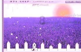 小儿唐氏综合征的诊断