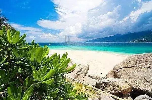 鳄鱼油使用