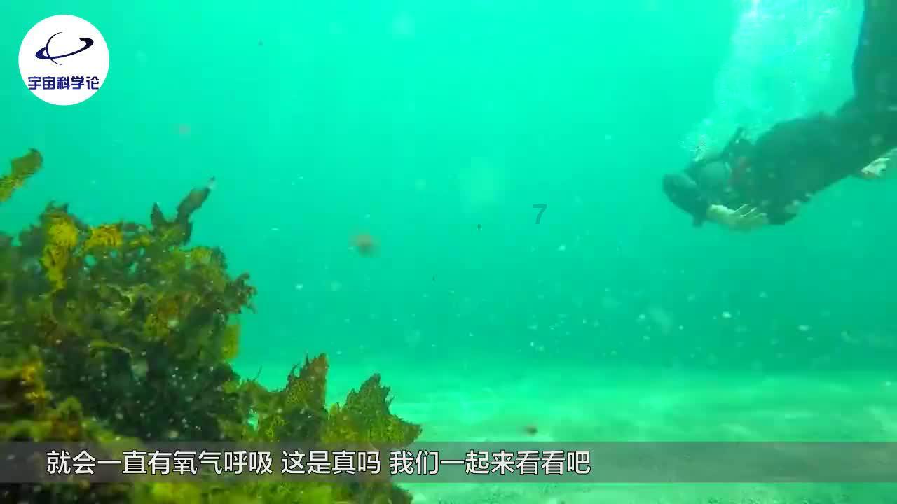 浠水县“三品一特”安全呈现稳中向好态势