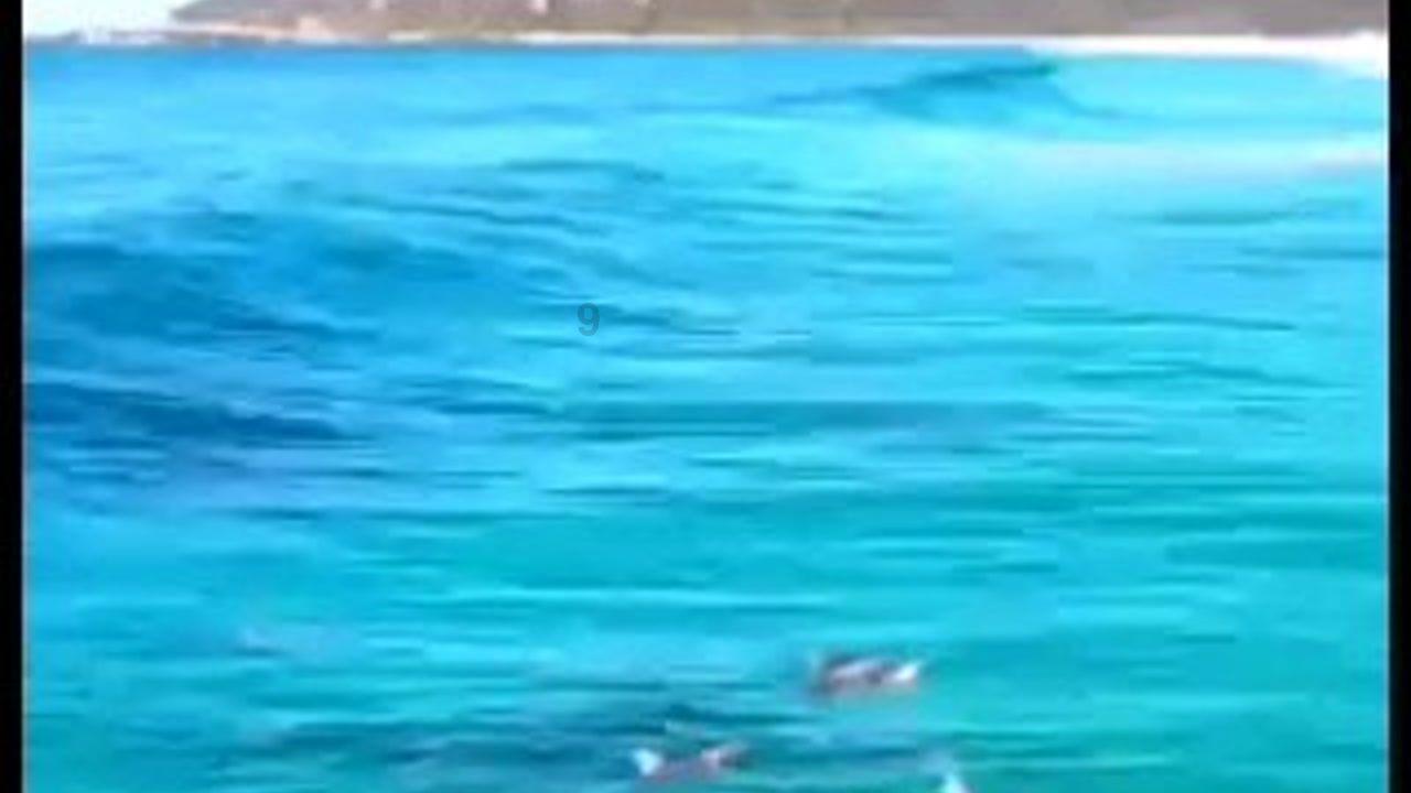 原始人打棒球